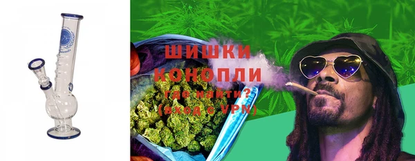 метадон Богданович