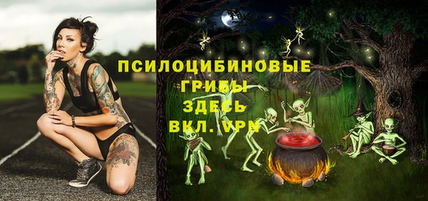 метадон Богданович