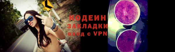 метадон Богданович