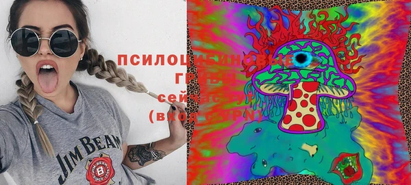 метадон Богданович