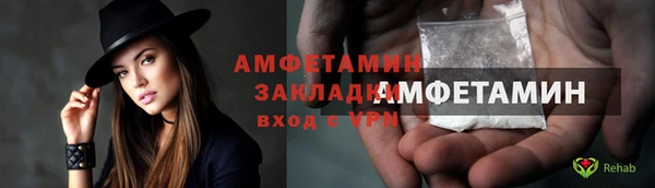 метадон Богданович