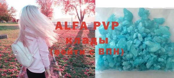метадон Богданович