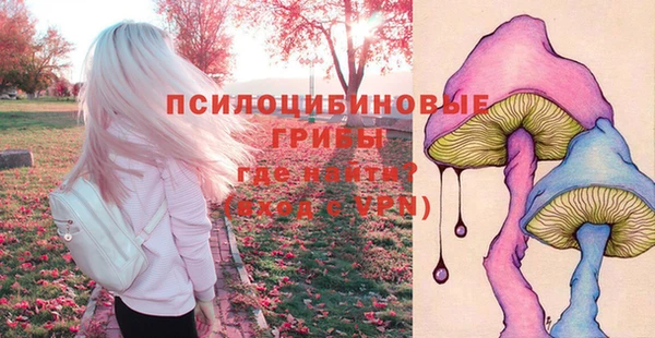 синтетический гашиш Богородск