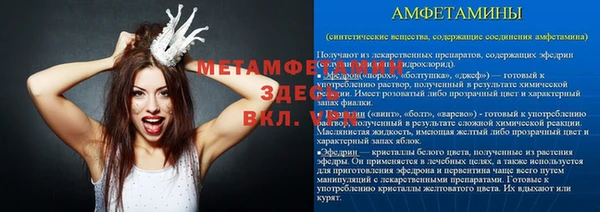 метадон Богданович