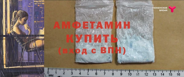 метадон Богданович