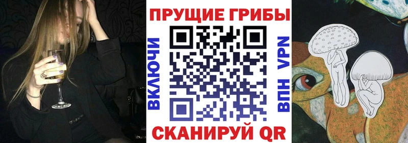 площадка клад  мега зеркало  Яхрома  магазин  наркотиков  Псилоцибиновые грибы Cubensis 